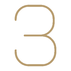 wired-outline-2433-number-3-hover-draw